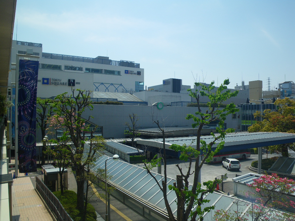 青葉台エリア紹介♪